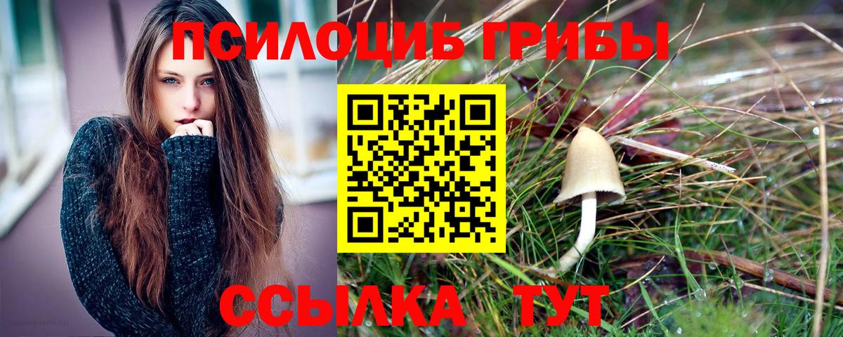 сколько стоит  Псилоцибиновые грибы Psilocybe  Вход с VPN  Галлюциногенные грибы ЛСД  Саратов 